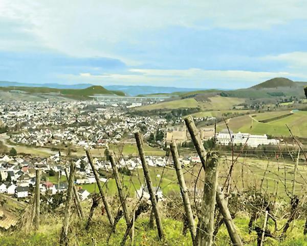 Pension Zum Ahrblick Sinzig Exteriér fotografie